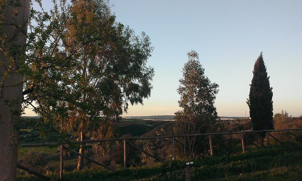 Masseria Strada Agriturismo جينوسا المظهر الخارجي الصورة