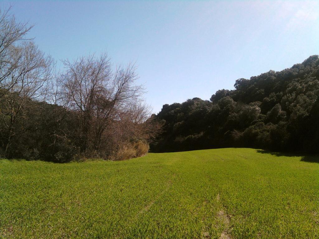 Masseria Strada Agriturismo جينوسا المظهر الخارجي الصورة